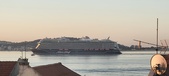 Enlarge photo 269
