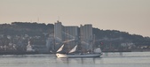 Enlarge photo 274