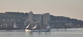Enlarge photo 276