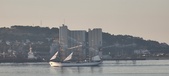 Enlarge photo 277