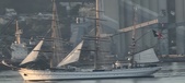 Enlarge photo 278