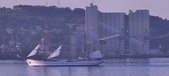 Enlarge photo 279
