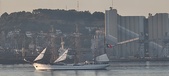 Enlarge photo 281