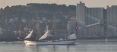 Enlarge photo 282