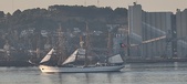 Enlarge photo 283