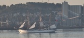 Enlarge photo 284