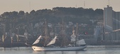 Enlarge photo 286