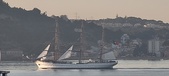 Enlarge photo 290