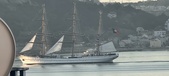 Enlarge photo 292