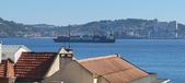 Enlarge photo 318