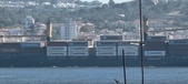 Enlarge photo 319