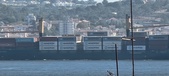 Enlarge photo 323