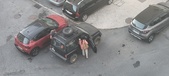 Enlarge photo 331
