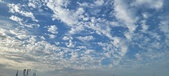 Enlarge photo 380