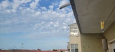 Enlarge photo 391