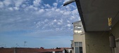 Enlarge photo 392