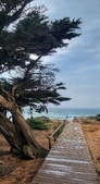 Enlarge photo 53