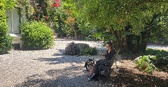 Enlarge photo 43