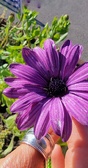 Enlarge photo 56
