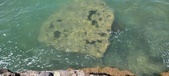 Enlarge photo 33