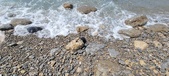 Enlarge photo 45