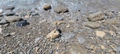 Enlarge photo 46