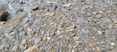 Enlarge photo 47