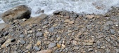 Enlarge photo 48