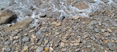 Enlarge photo 49