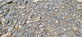 Enlarge photo 50