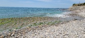 Enlarge photo 66
