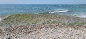 Enlarge photo 70