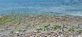 Enlarge photo 71
