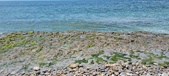 Enlarge photo 72