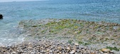 Enlarge photo 73