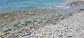 Enlarge photo 75