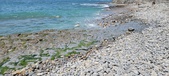 Enlarge photo 76