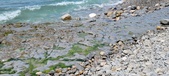 Enlarge photo 77