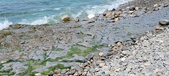 Enlarge photo 78