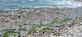 Enlarge photo 79