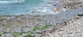 Enlarge photo 80