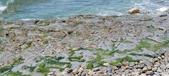 Enlarge photo 81