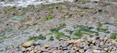 Enlarge photo 82