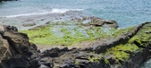 Enlarge photo 83