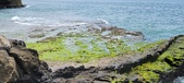 Enlarge photo 84