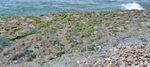 Enlarge photo 85