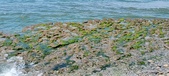 Enlarge photo 86