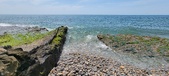 Enlarge photo 87