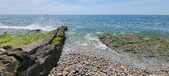 Enlarge photo 88