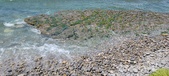 Enlarge photo 92